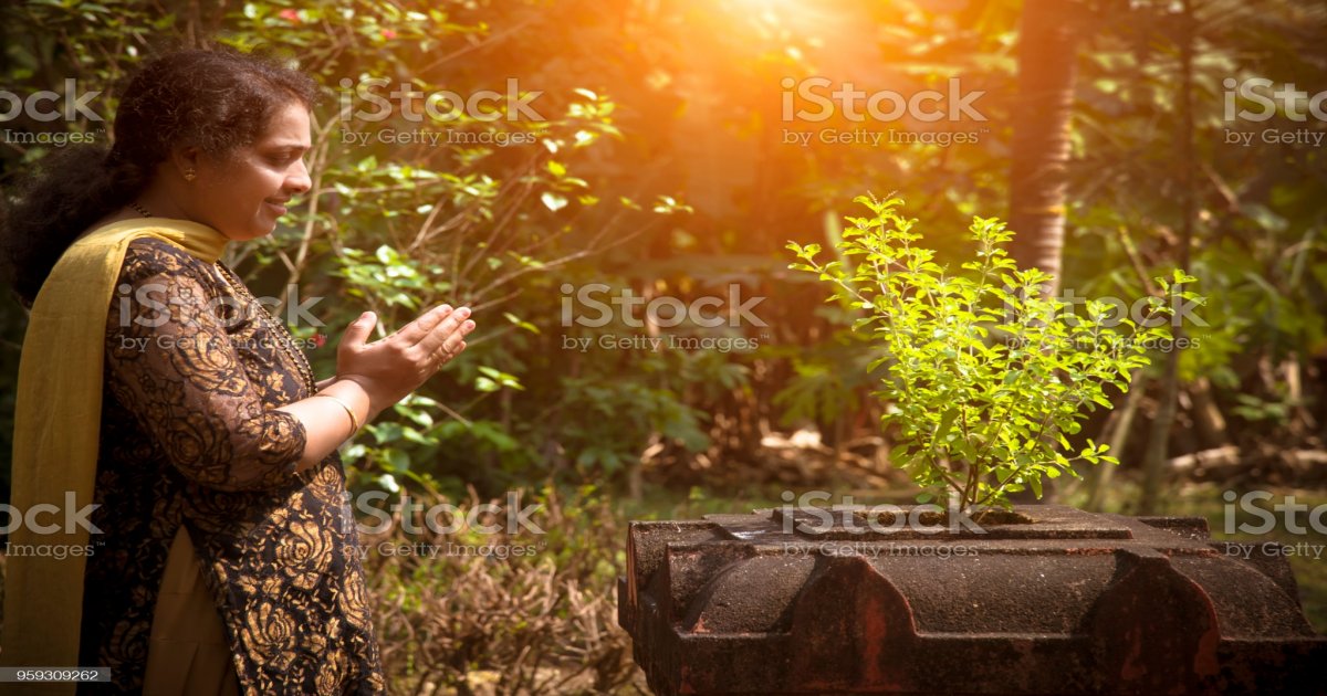 कल शाम को करे तुलसी पूजा कार्तिक मास में तुलसी शालिग्राम का विवाह करने से घर मे सुख शांति आती है और धन की नहीं होती है कम