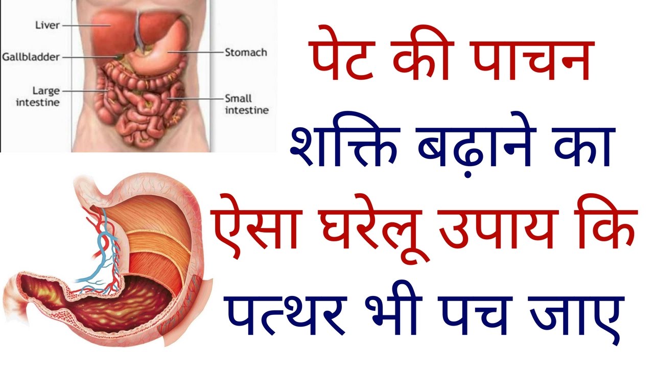 पाचन तंत्र के लिए आयुर्वेदिक टिप्स हैं लाभदायक, जानिये कैसे